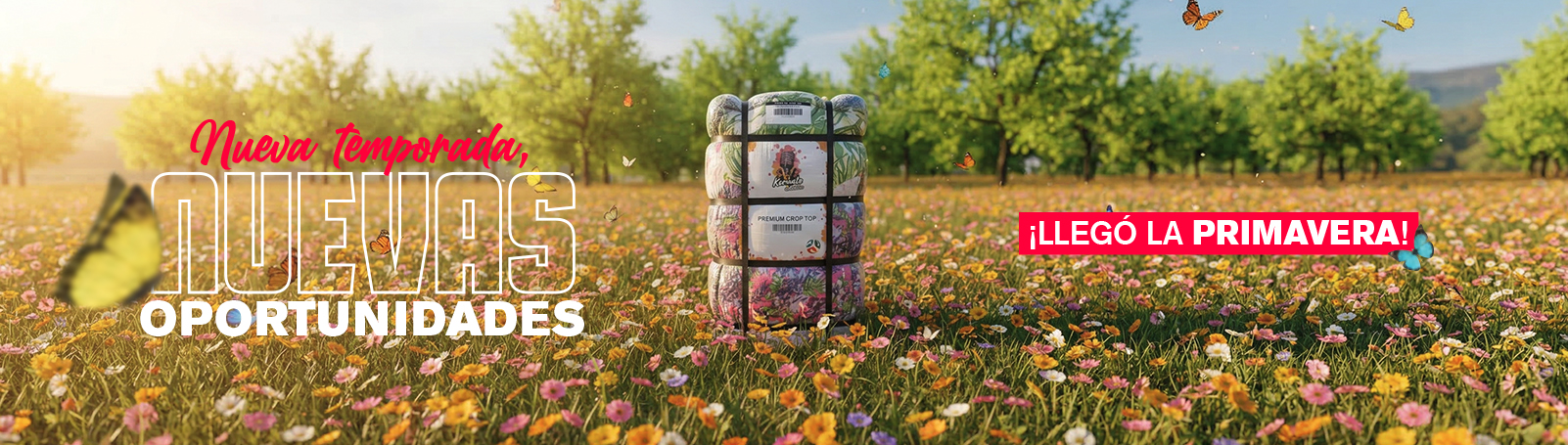 Banner promocional final